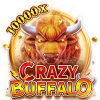 CRAZY BUFFALO