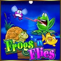 Frog And Flies